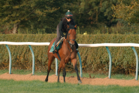 Eight Declared For Dubai Duty Free Mill Reef Stakes