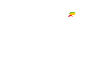 Coral Challow Hurdle Day Banner