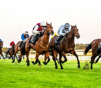 Flat Membership at Newbury Racecourse