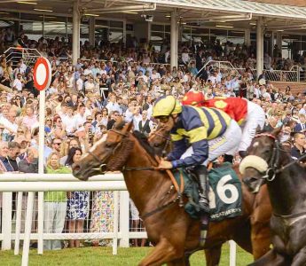 Full Membership Newbury