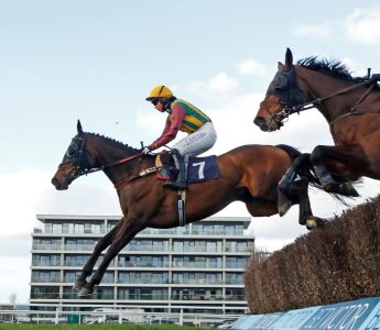 Jump Membership at newbury Racecourse