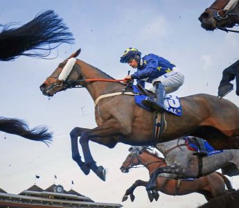Jumps Membership at Newbury Racecourse