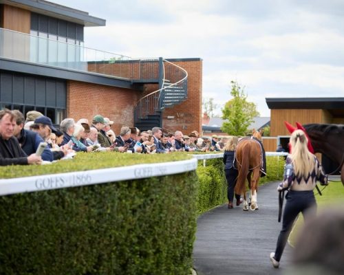 Parade Ring Lawn View Owners Club