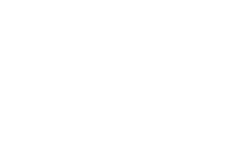 SES Website Graphics Logo Lock Up