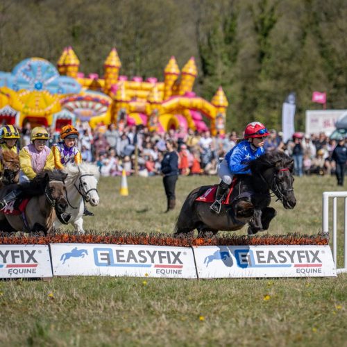 Shetland Grand National Lambourn Open Day